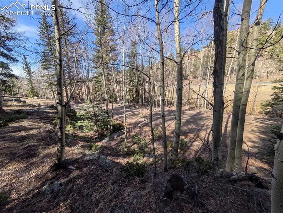 386 Brook Drive, Lake George, CO 80827 - #2