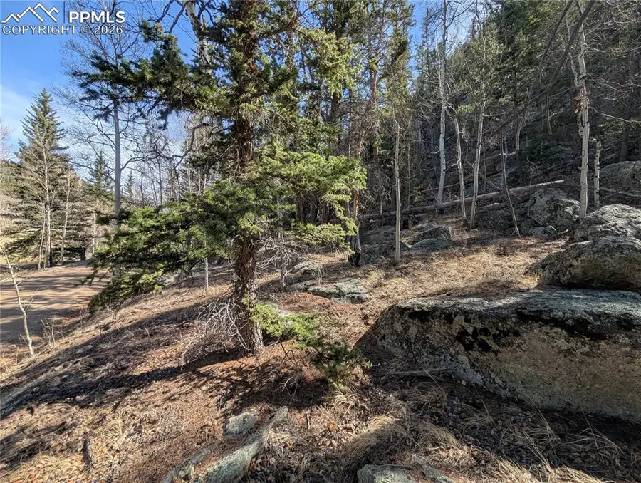 386 Brook Drive, Lake George, CO 80827 - #3