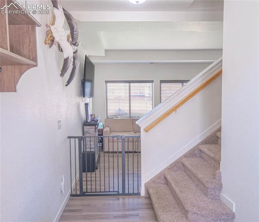 9241 Timberlake Loop, Colorado Springs, CO 80927 - #3