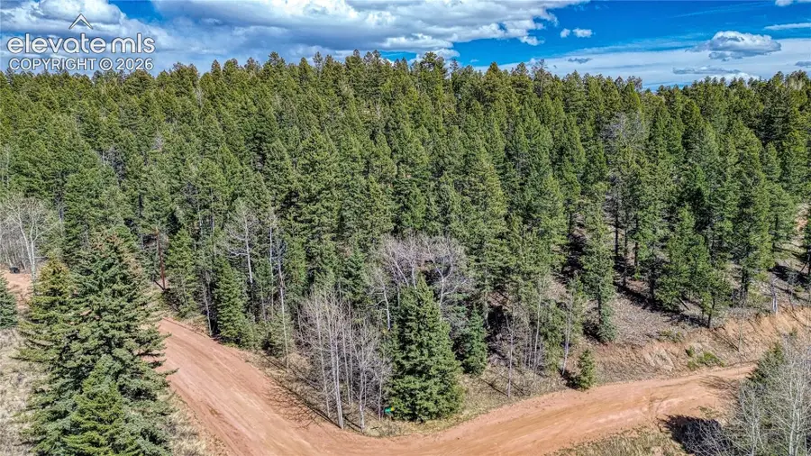 5544 County Road 5 Road, Divide, CO 80814 - #2