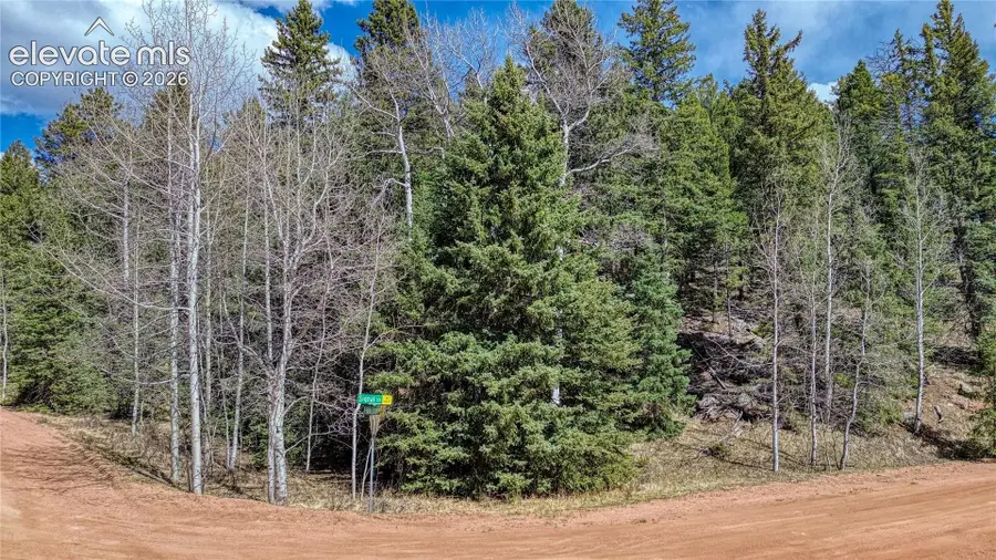 5544 County Road 5 Road, Divide, CO 80814 - #3