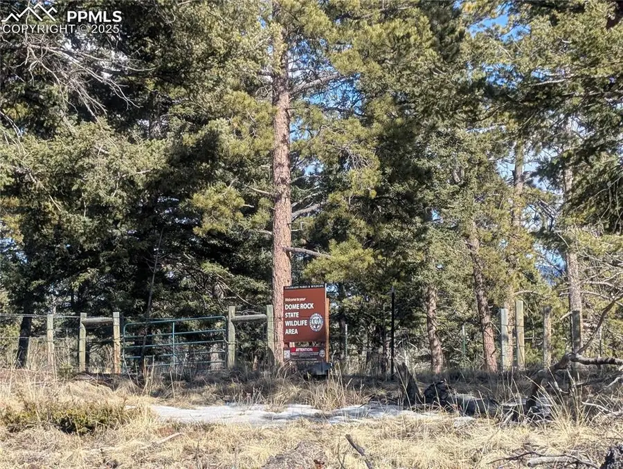 56 Rampart Circle, Florissant, CO 80816 - Image #3