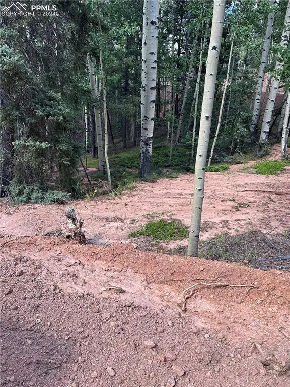 1301 Calcite Drive, Divide, CO 80814