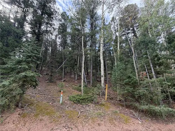 118 Will Stutley Drive, Divide, CO 80814