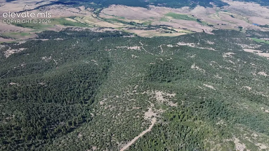 838 Ridgeway Road, Cotopaxi, CO 81223 - #2