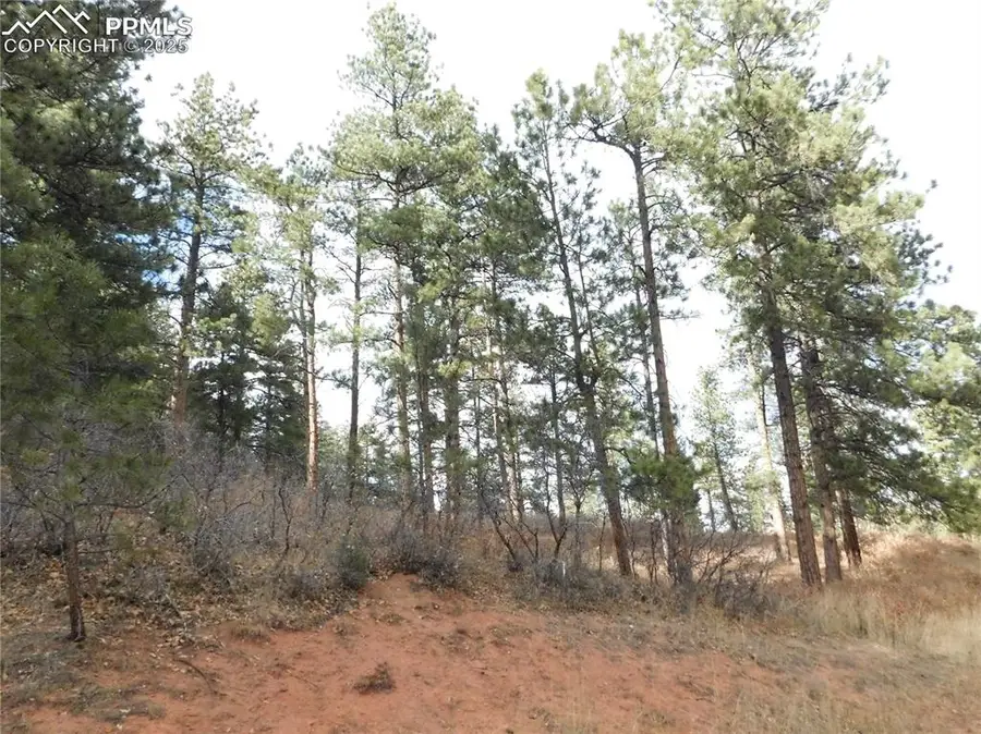 8055 Acoma Drive, Larkspur, CO 80118 - Image #3