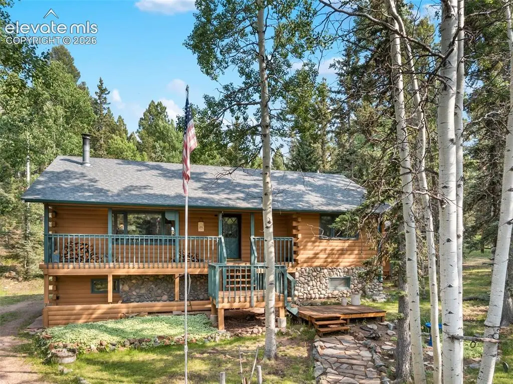 56 Blue Jay Lane, Divide, CO 80814 - #1
