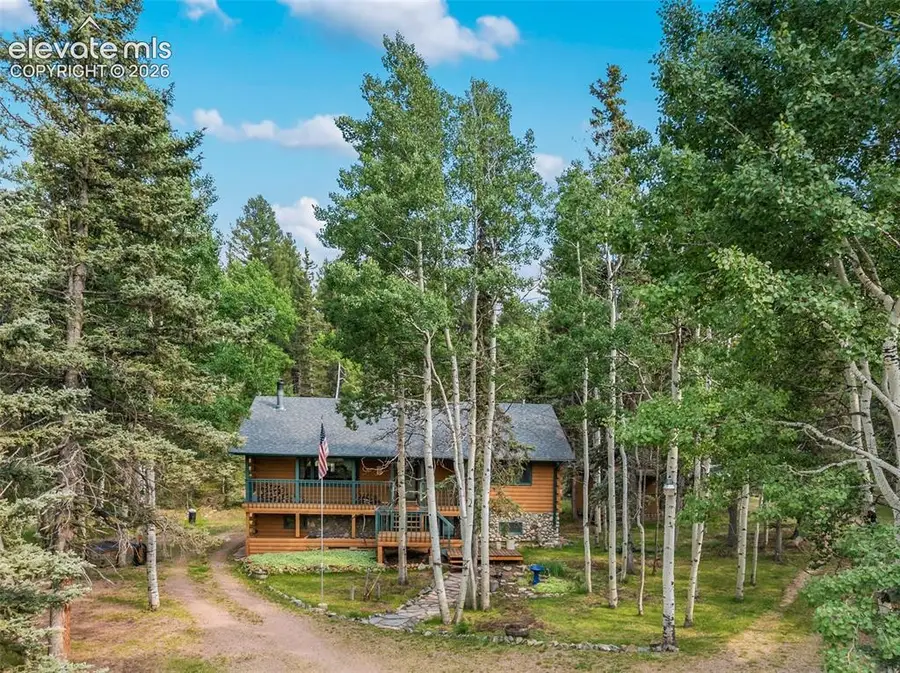 56 Blue Jay Lane, Divide, CO 80814 - #3