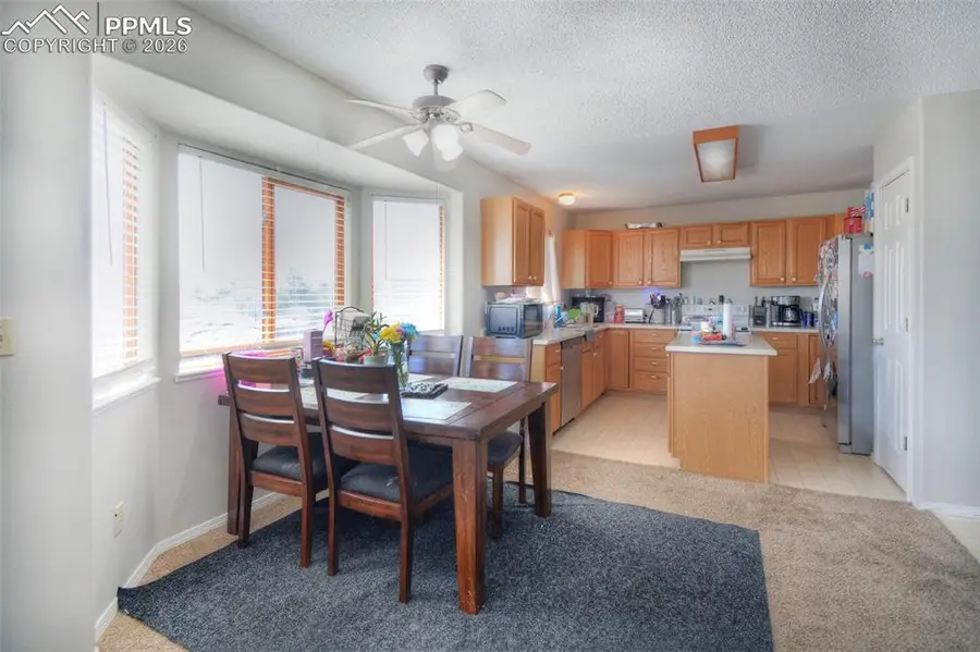 605 Stubble Field Drive, Fountain, CO 80817 - #3