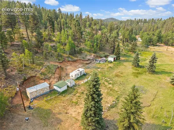 974 W Bison Creek Trail, Divide, CO 80814