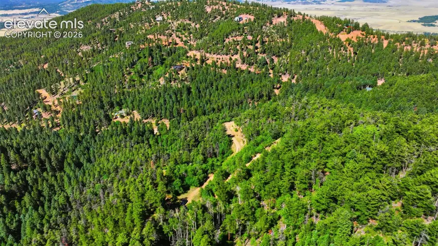 13464 S Firedog Way, Larkspur, CO 80118 - #2