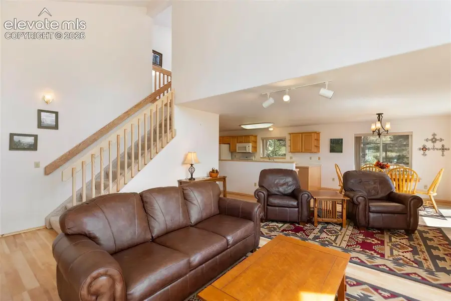 625 Sun Valley Drive, Woodland Park, CO 80863 - #3