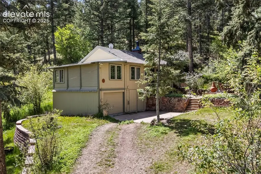 9375 Ute Road, Cascade, CO 80809 - #3