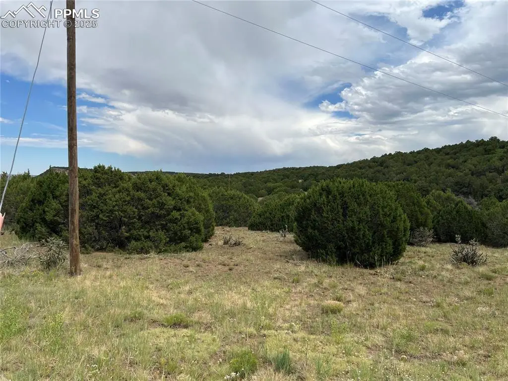 Sunrise Road, Walsenburg, CO 81089 - #1