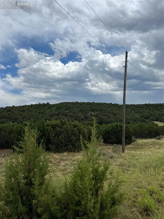 Sunrise Road, Walsenburg, CO 81089 - #2