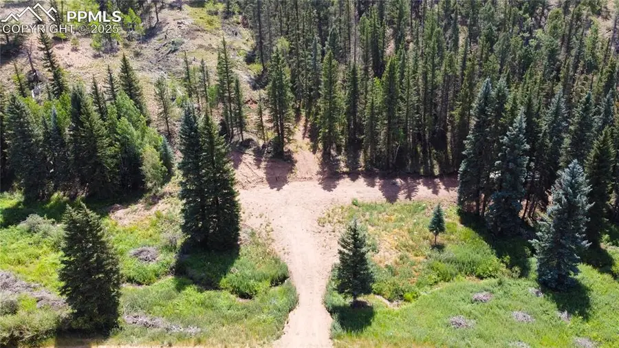 1570 Pathfinder Road, Florissant, CO 80816 - Image #3