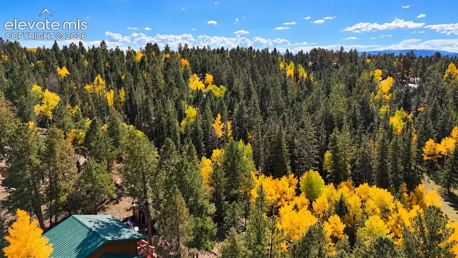 54 Spring Valley Lane, Florissant, CO 80816 - #3