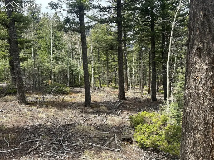 357 Big Horn Road, Manitou Springs, CO 80829 - Image #2