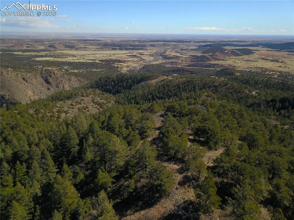 3735 Big Spruce Heights, Colorado Springs, CO 80926 - #1