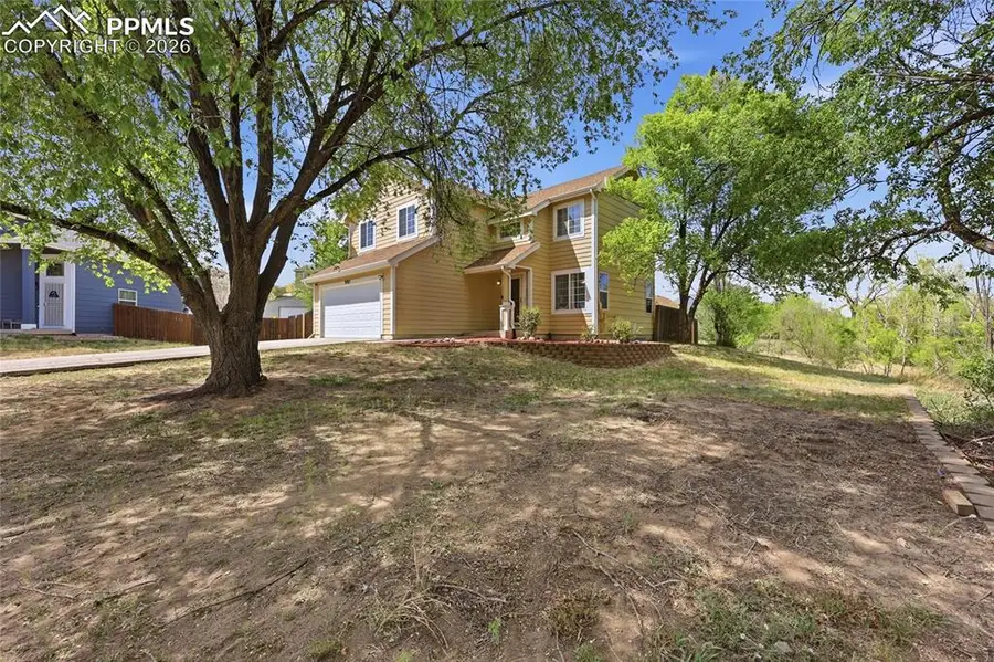 990 Ridgebury Place, Fountain, CO 80817 - #3