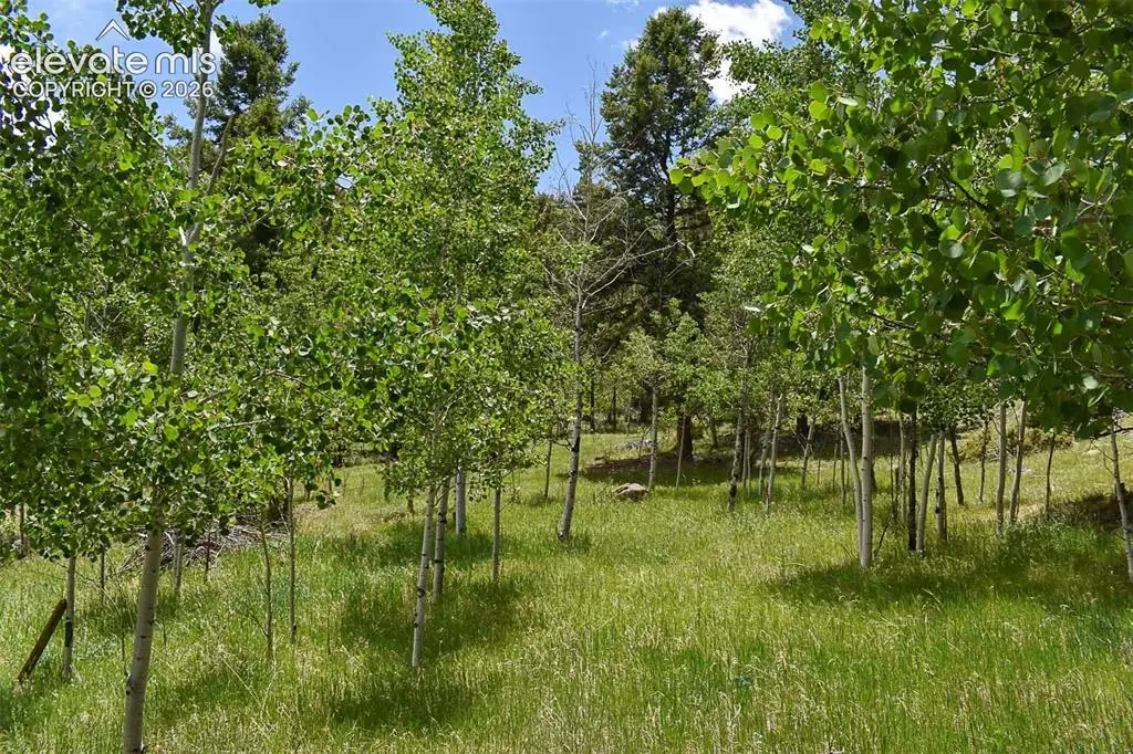 281 Deer Lane, Guffey, CO 80820 - #1