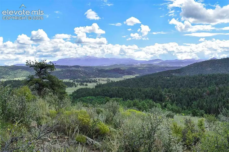 281 Deer Lane, Guffey, CO 80820 - #2