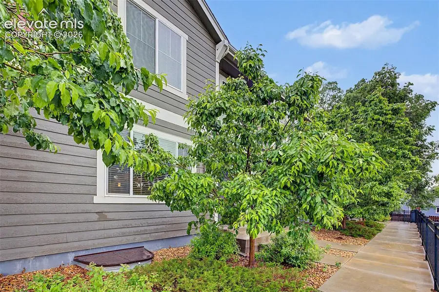 329 Raspberry Lane, Monument, CO 80132 - #2