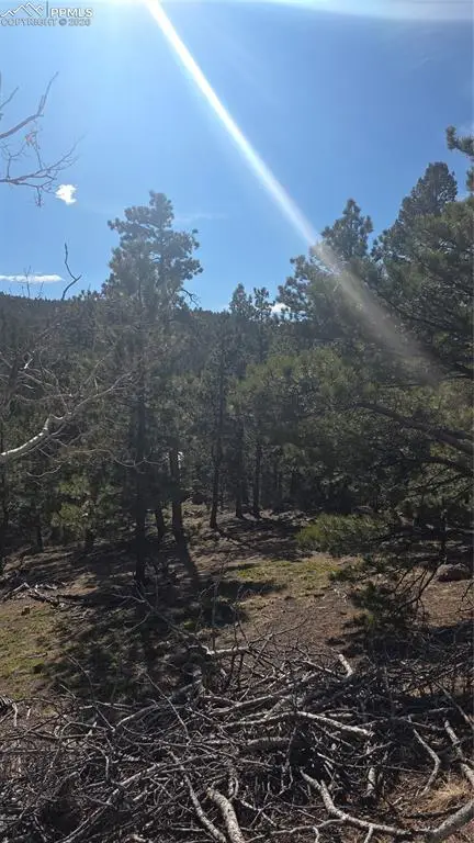 169 Osoeola Road, Woodland Park, CO 80863 - #3