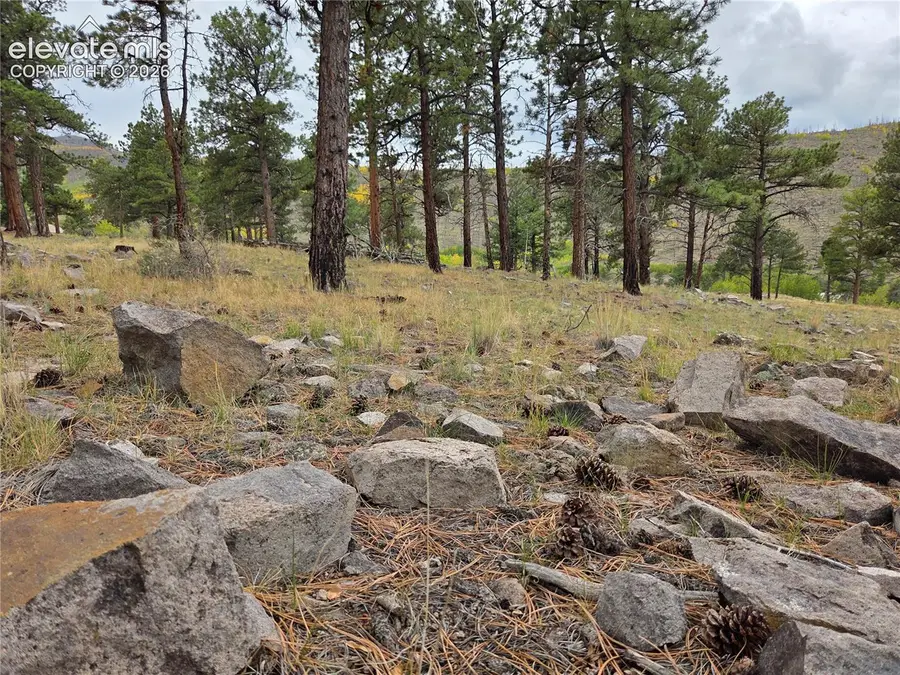 94 Rock Ridge Court, South Fork, CO 81154 - #2