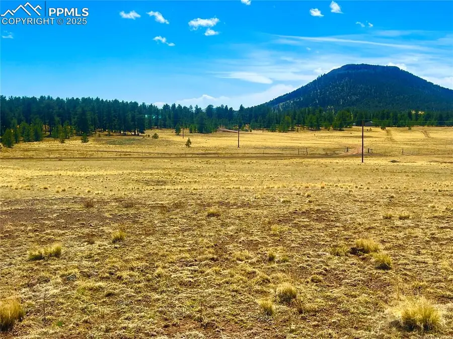 90 Meadow Lane, Guffey, CO 80820 - Image #3