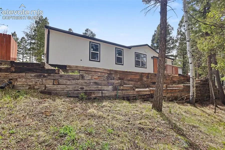 151 Banner Trail, Florissant, CO 80816 - #2