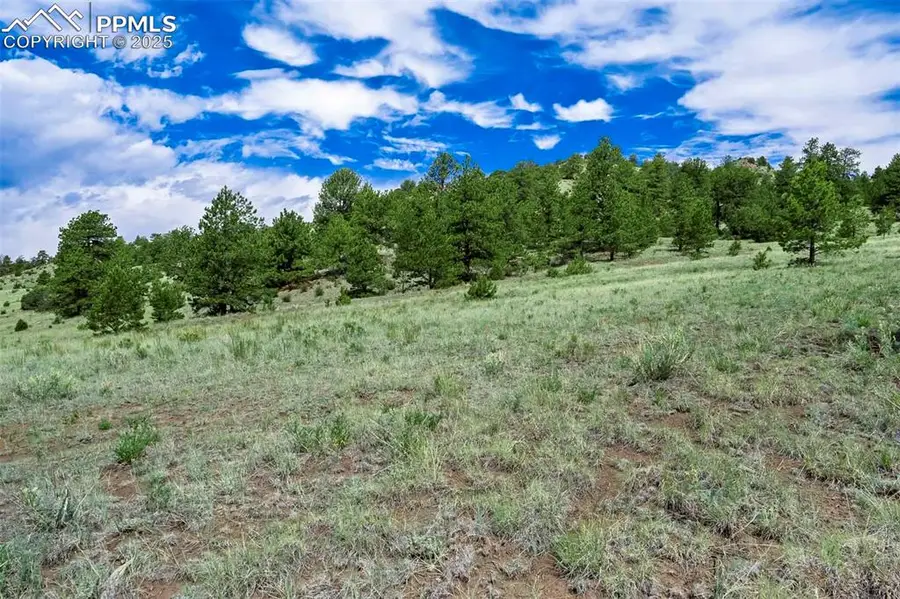 Tract 8 County Road 102, Guffey, CO 80820 - #2