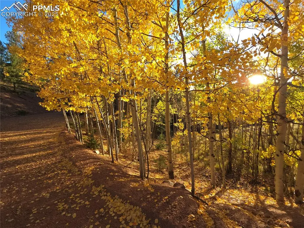 899 Little Topsey Drive, Cripple Creek, CO 80813 - Image #1