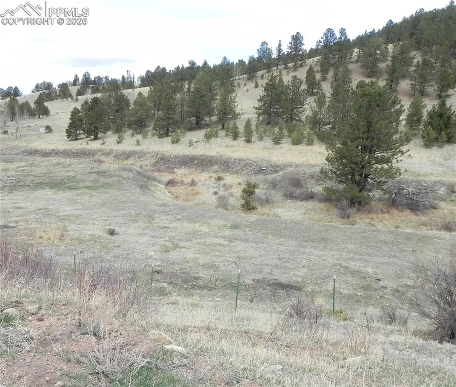 521 Monarch Drive, Cripple Creek, CO 80813 - #2
