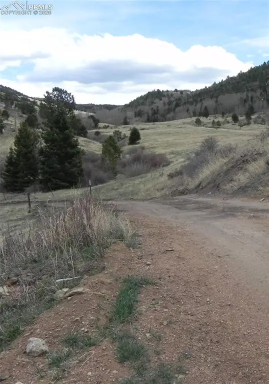 521 Monarch Drive, Cripple Creek, CO 80813 - #3