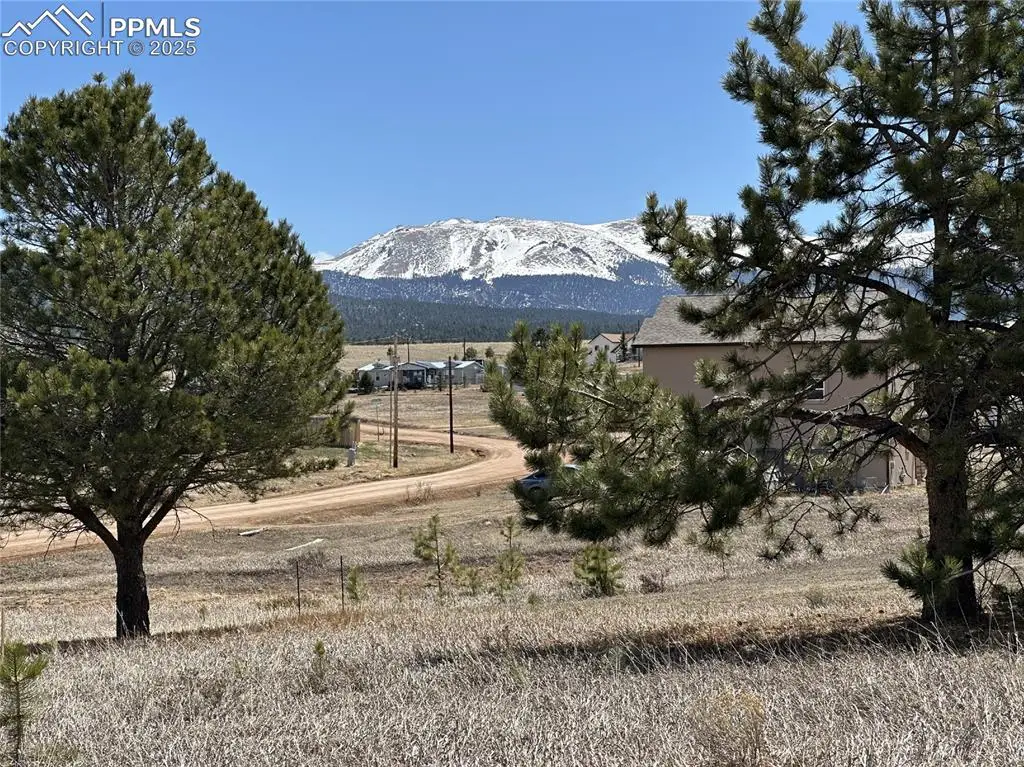333 Golden Grain Lane, Divide, CO 80814 - Image #1