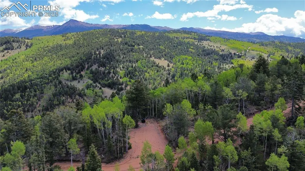 Four Mile Road, Divide, CO 80814 - Image #1