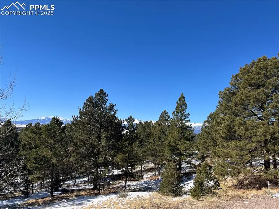 1234 Edelweiss Drive, Westcliffe, CO 81252 - Image #2