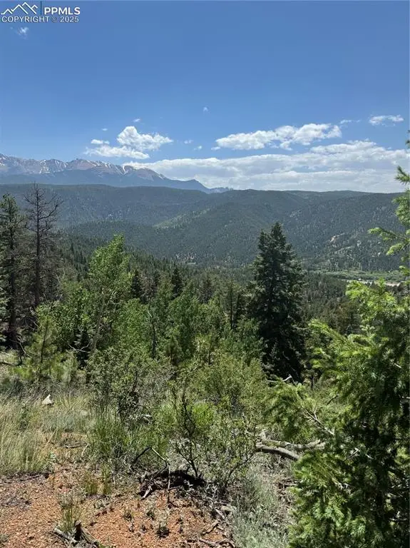 8743 High Mark Point, Woodland Park, CO 80863 - Image #1