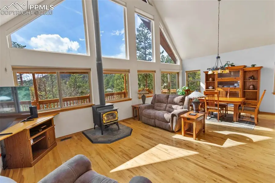 595 Bird Point Road, Florissant, CO 80816 - #3