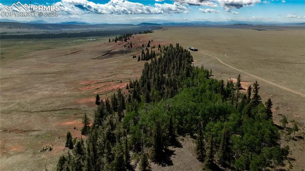 4319 Meier Ridge Trail, Fairplay, CO 80440 - Image #1