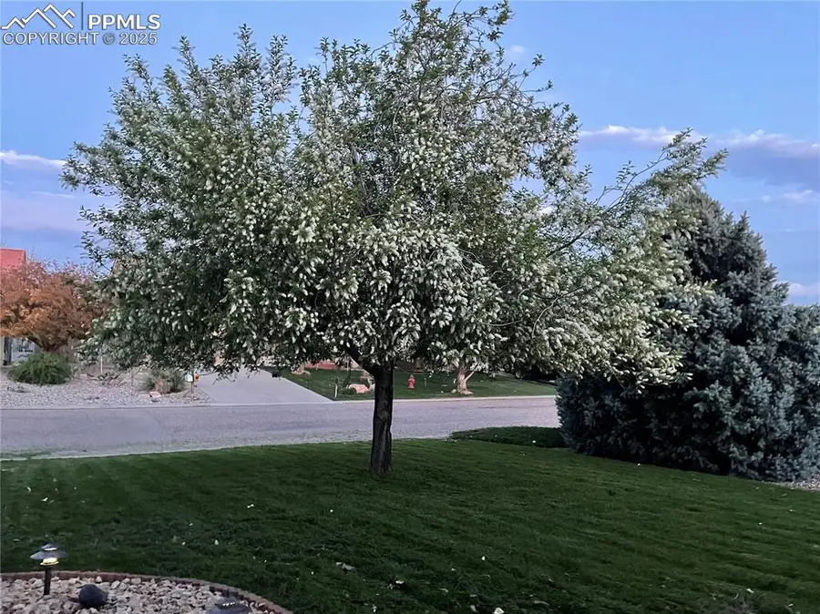 115 S Glenrose Drive, Pueblo, CO 81007 - #2