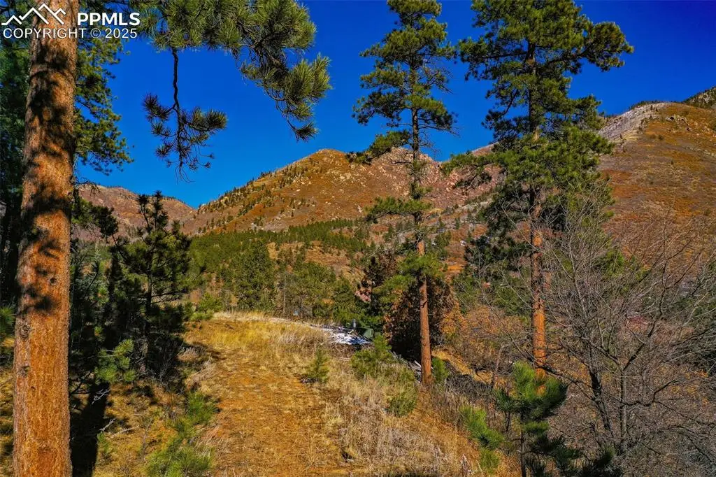 5330 Chipita Pines Drive, Cascade, CO 80809 - Image #1