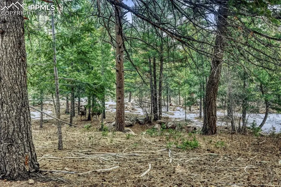 Rock Ridge Road, Palmer Lake, CO 80133 - #3