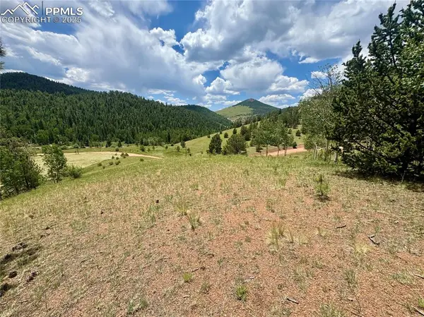 374 Copper Mountain Drive, Cripple Creek, CO 80813