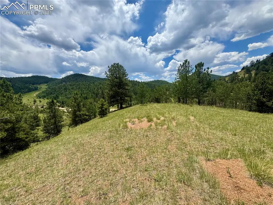 374 Copper Mountain Drive, Cripple Creek, CO 80813 - #2