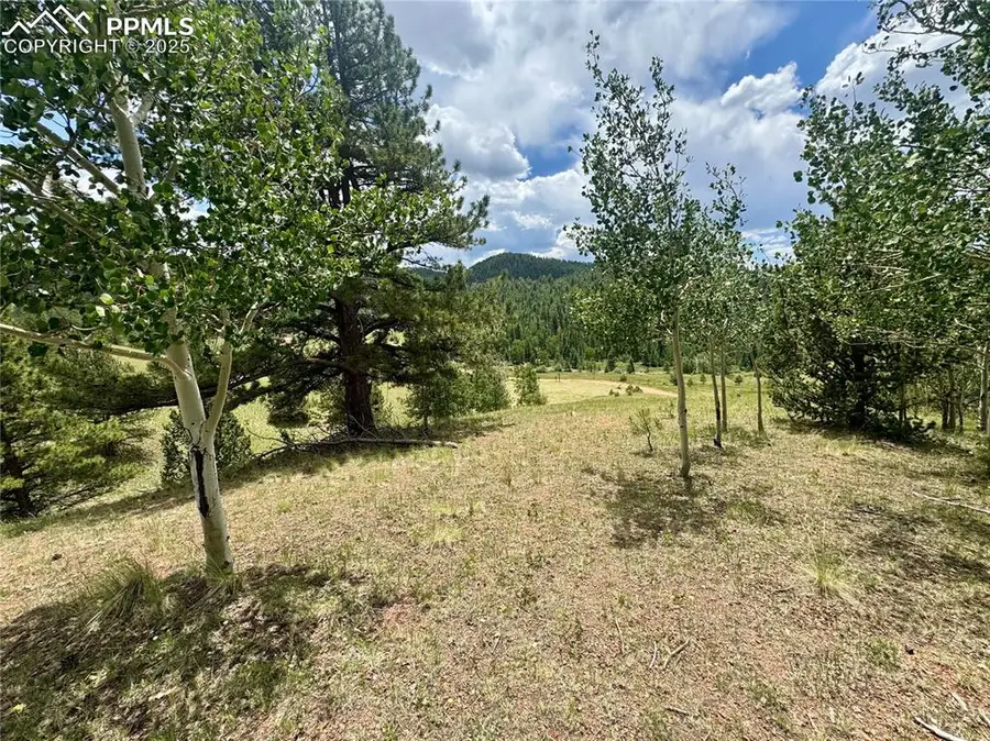 374 Copper Mountain Drive, Cripple Creek, CO 80813 - #3