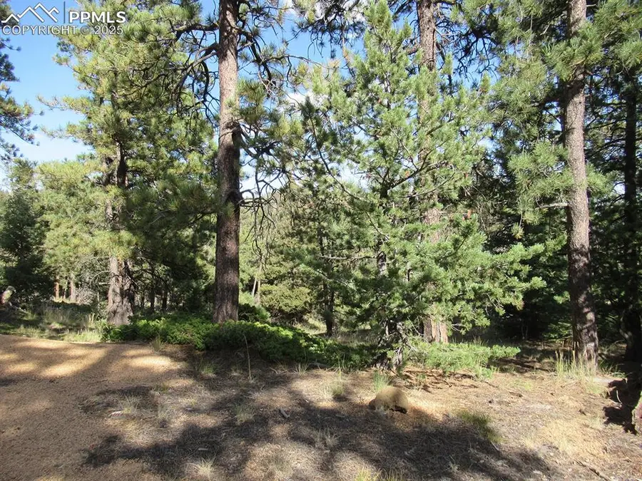 213 Coffee Pot Road, Manitou Springs, CO 80829 - Image #3