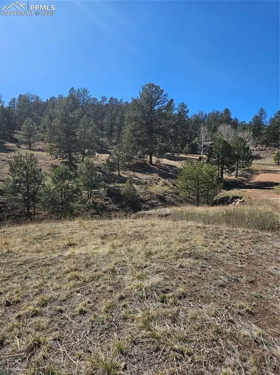 717 Canyon Drive, Florissant, CO 80816 - #2