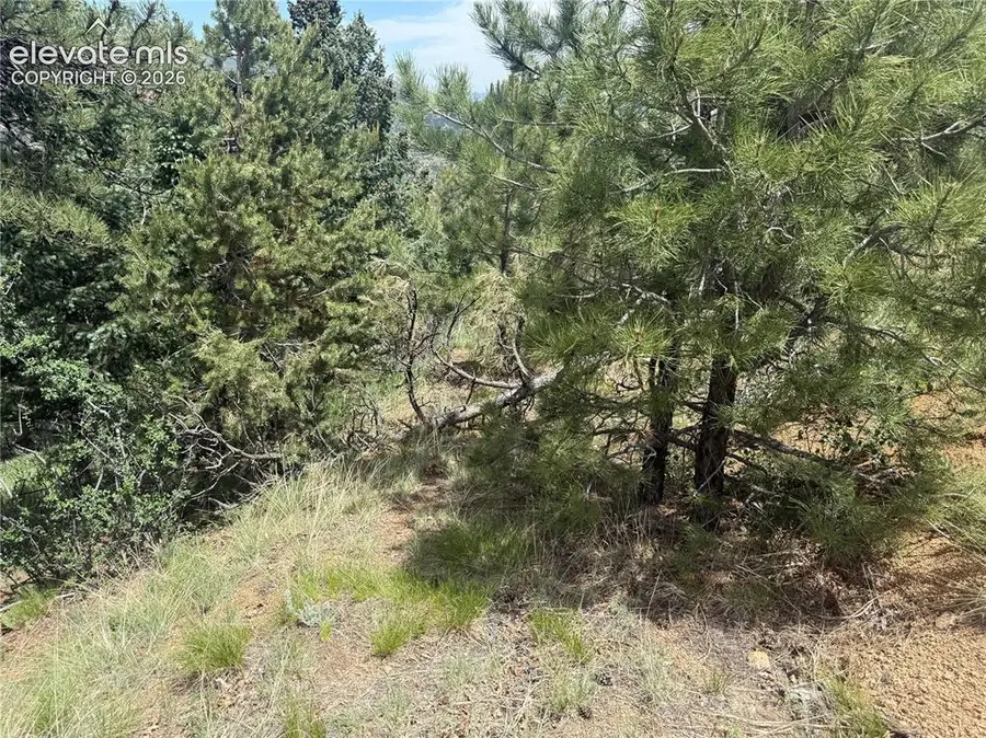 358 Sugarloaf Road, Manitou Springs, CO 80829 - #2